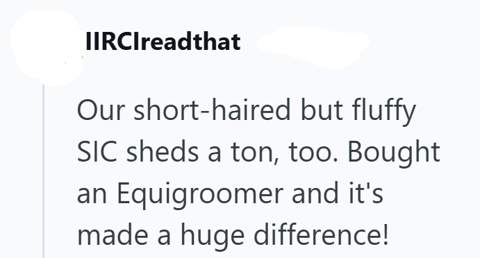 IIRCIreadthat Our short-haired but fluffy SIC sheds a ton, too. Bought an Equigroomer and it's. made a huge difference!
