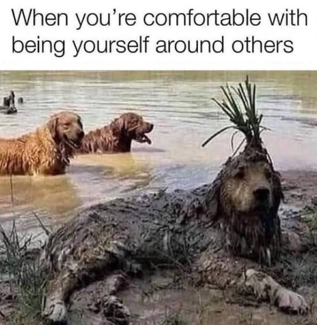 When you're comfortable with being yourself around others.