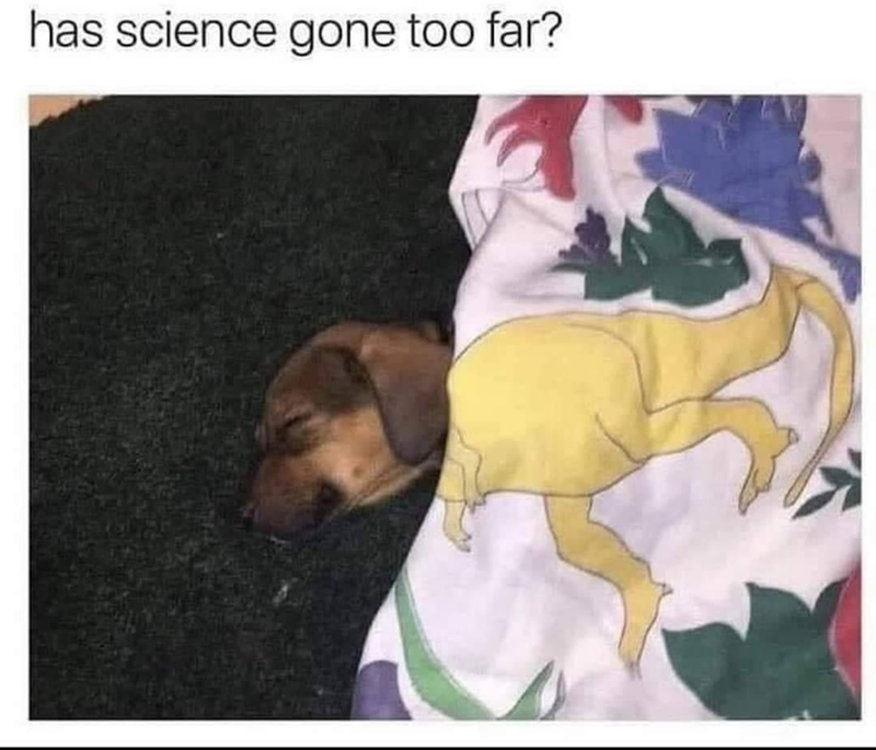 has science gone too far?