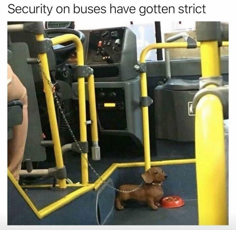 Security on buses have gotten strict