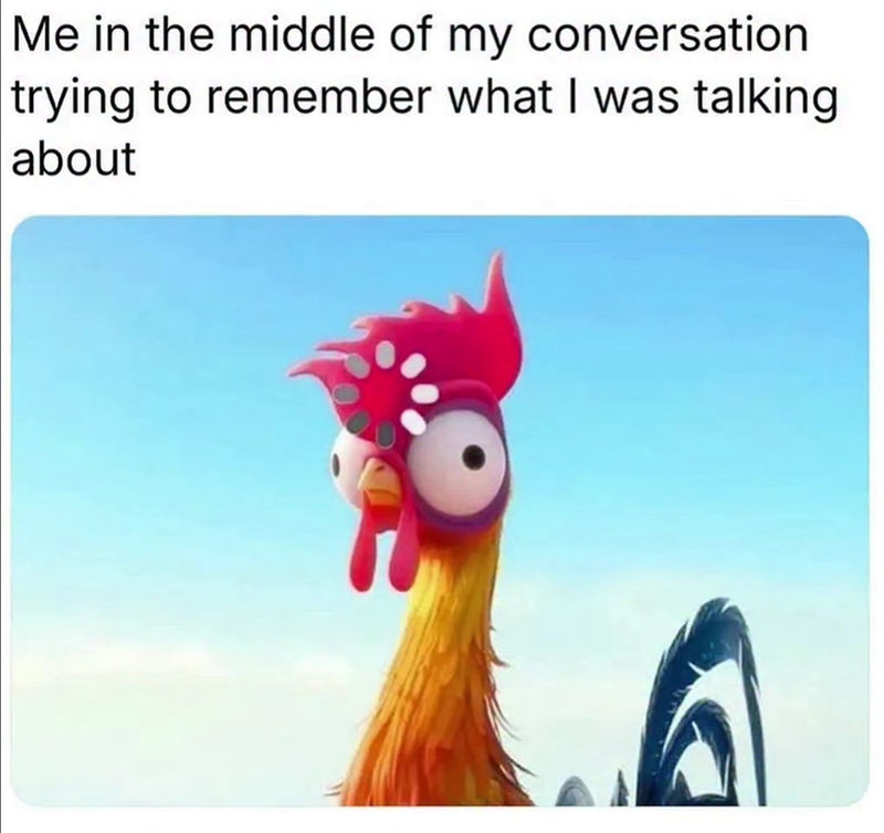 Me in the middle of my conversation trying to remember what I was talking about