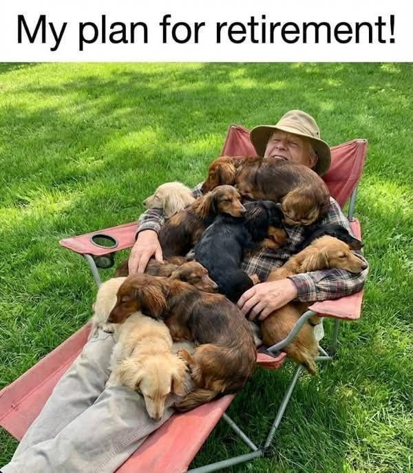 My plan for retirement!