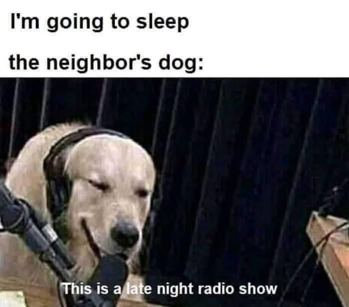 I'm going to sleep the neighbor's dog: This is a late night radio show