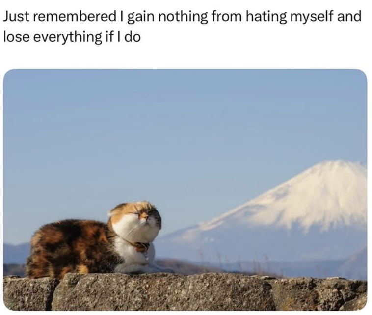 Just remembered I gain nothing from hating myself and lose everything if I do