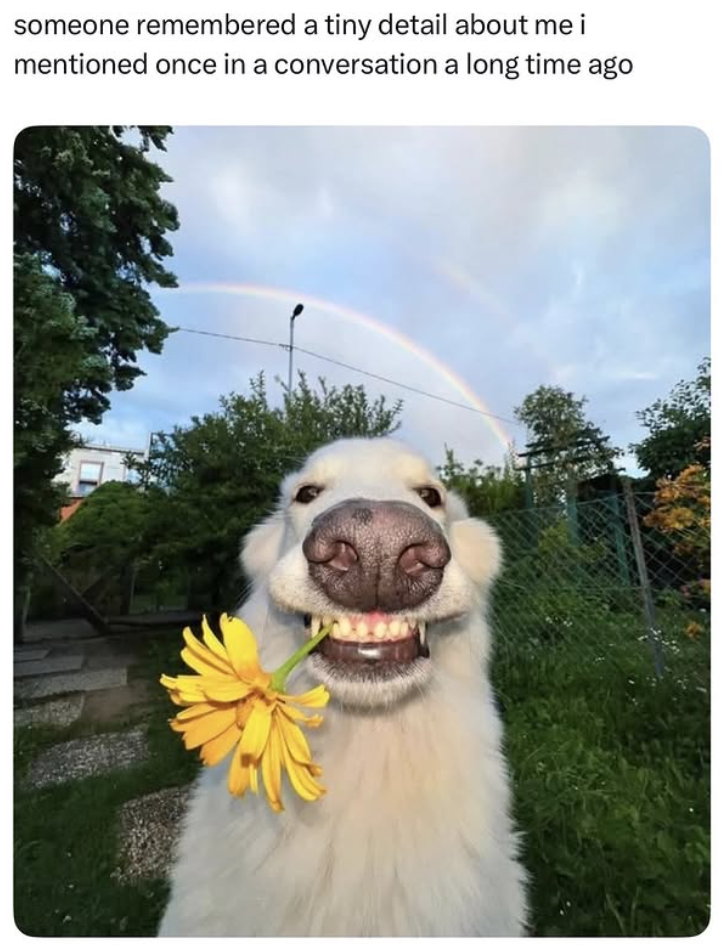 someone remembered a tiny detail about me i mentioned once in a conversation a long time ago