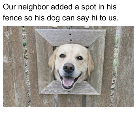 Our neighbor added a spot in his fence so his dog can say hi to us.