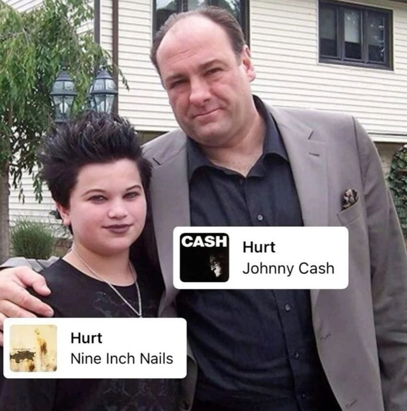 Hurt Nine Inch Nails CASH Hurt Johnny Cash