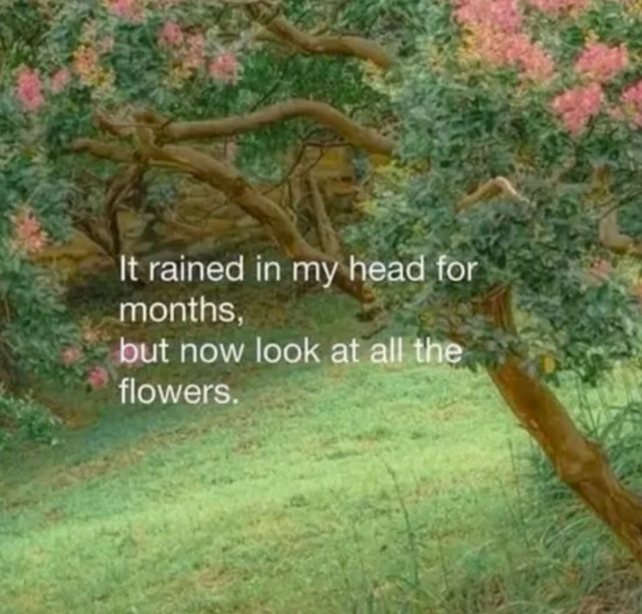It rained in my head for months, but now look at all the flowers.