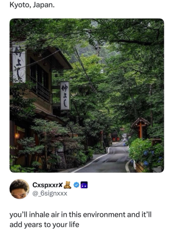 Kyoto, Japan. 144 Cxspxxrx @_6signxxx you'll inhale air in this environment and it'll add years to your life