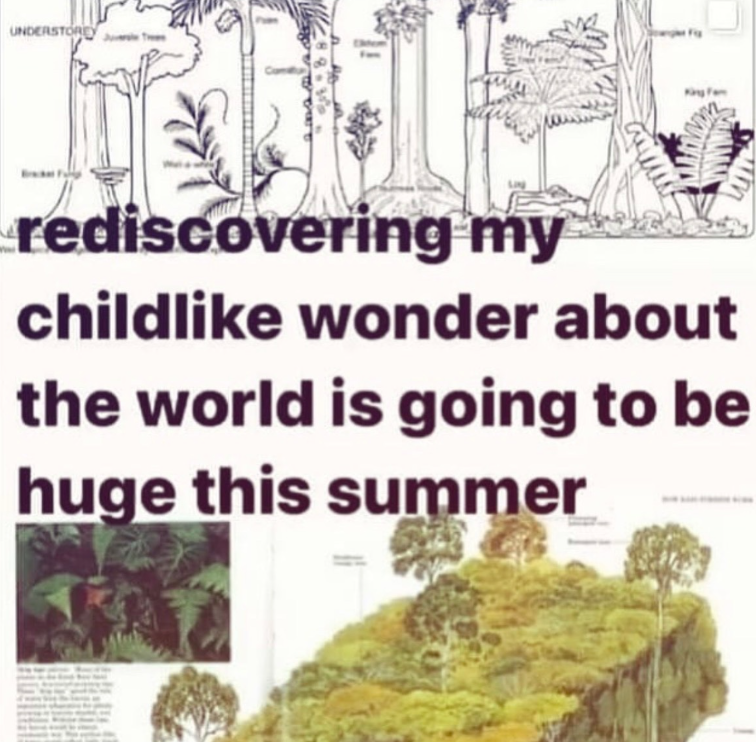 UNDERSTORY rediscovering my childlike wonder about the world is going to be huge this summer