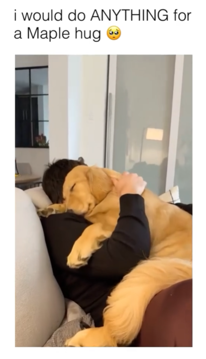 i would do ANYTHING for a Maple hug