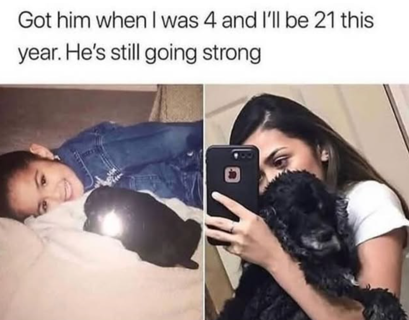 Got him when I was 4 and I'll be 21 this year. He's still going strong 2