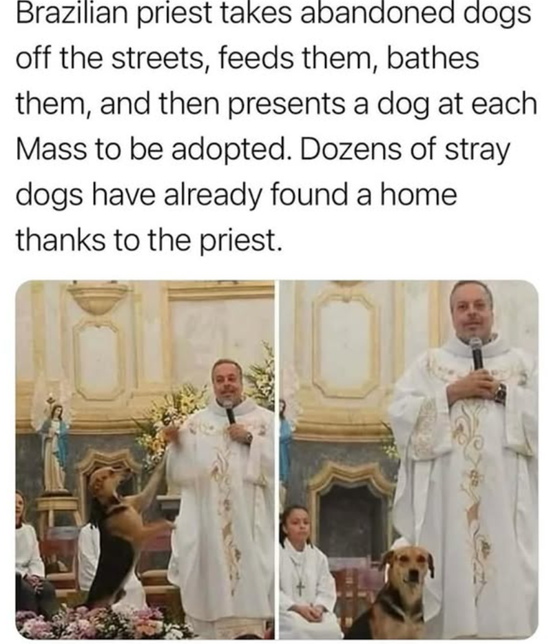 Brazilian priest takes abandoned dogs off the streets, feeds them, bathes them, and then presents a dog at each Mass to be adopted. Dozens of stray dogs have already found a home thanks to the priest.