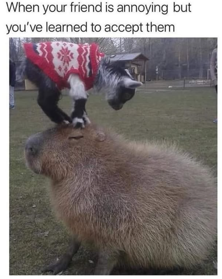 When your friend is annoying but you've learned to accept them