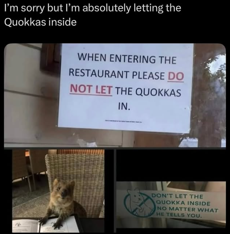 I'm sorry but I'm absolutely letting the Quokkas inside WHEN ENTERING THE RESTAURANT PLEASE DO NOT LET THE QUOKKAS IN. DON'T LET THE QUOKKA INSIDE NO MATTER WHAT HE TELLS YOU.