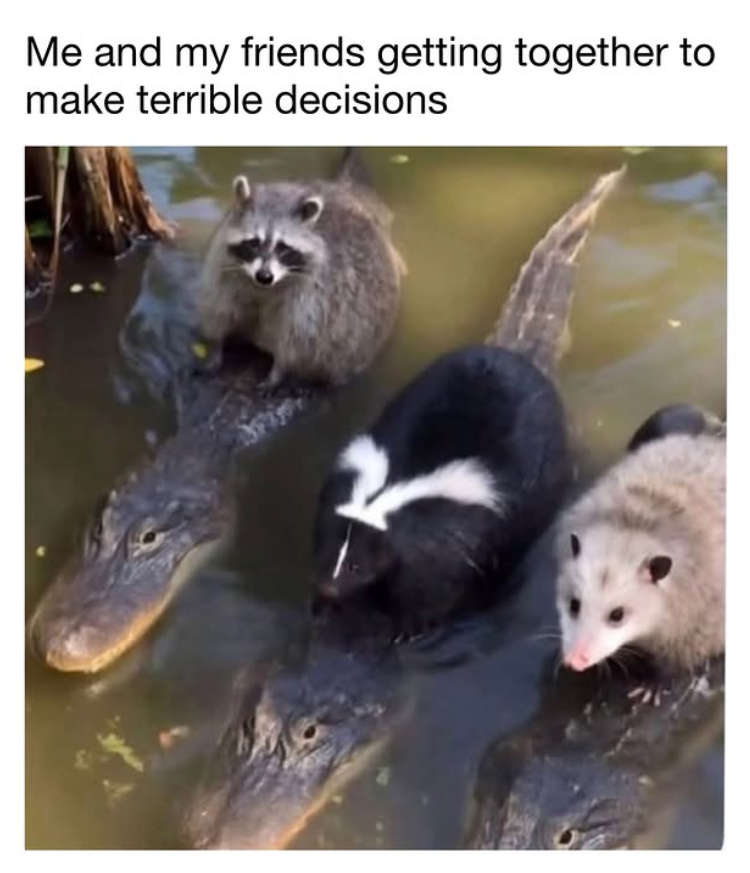 Me and my friends getting together to make terrible decisions