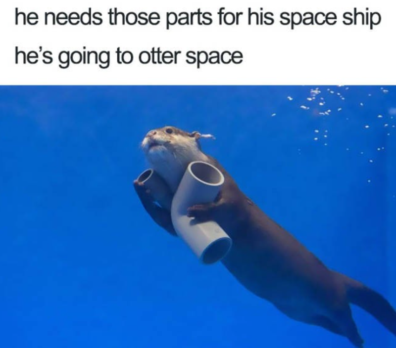 he needs those parts for his space ship he's going to otter space