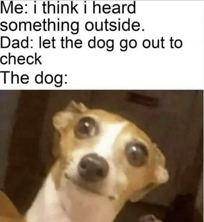 Me: i think i heard something outside. Dad: let the dog go out to check The dog: