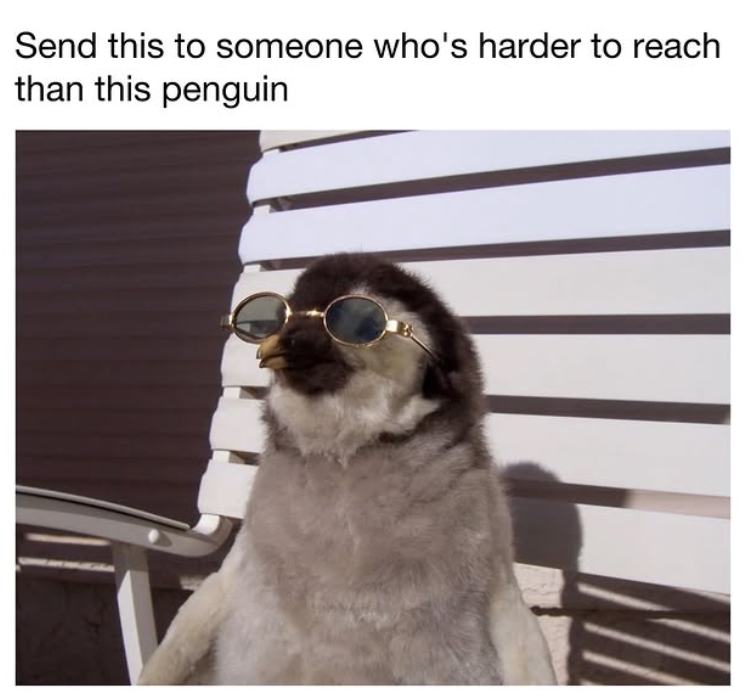 Send this to someone who's harder to reach than this penguin