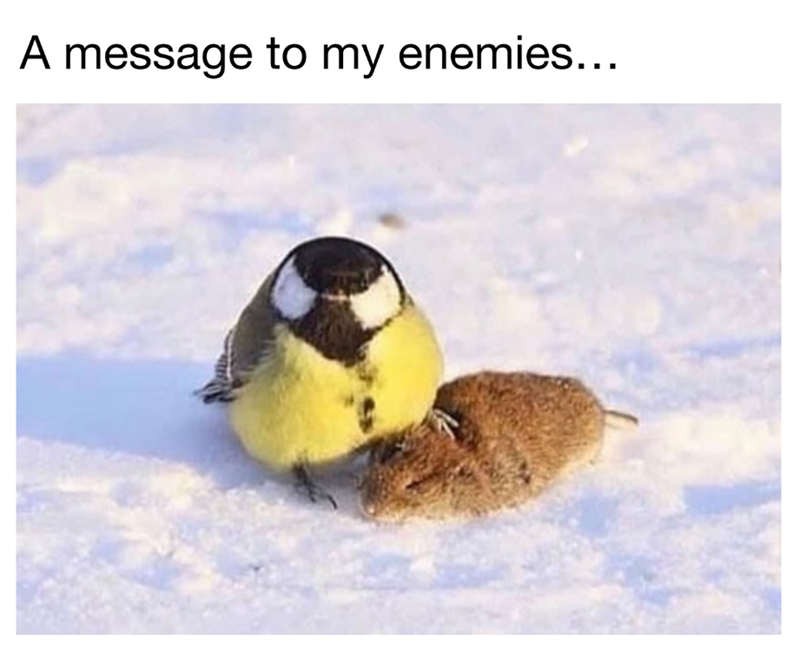 A message to my enemies...