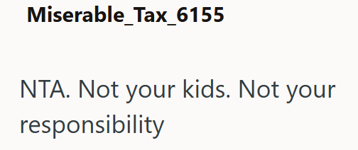 Miserable_Tax_6155 NTA. Not your kids. Not your responsibility