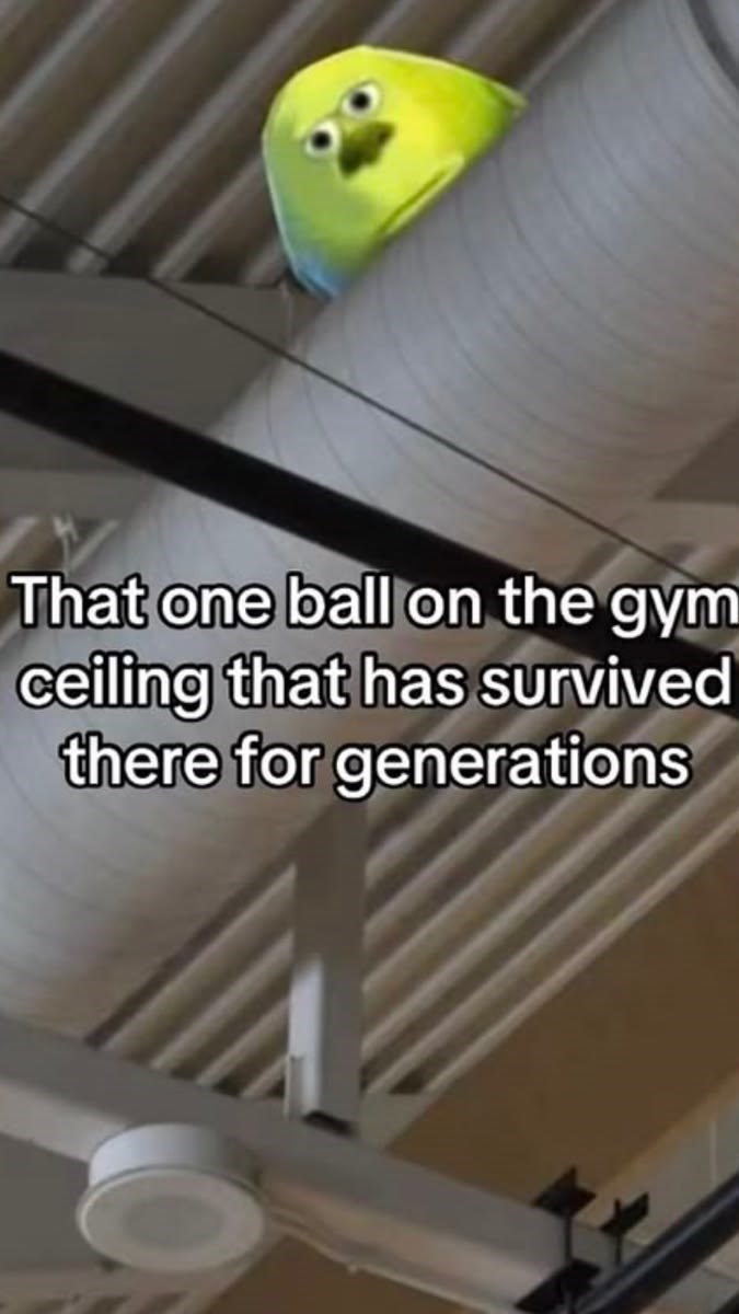 That one ball on the gym ceiling that has survived there for generations