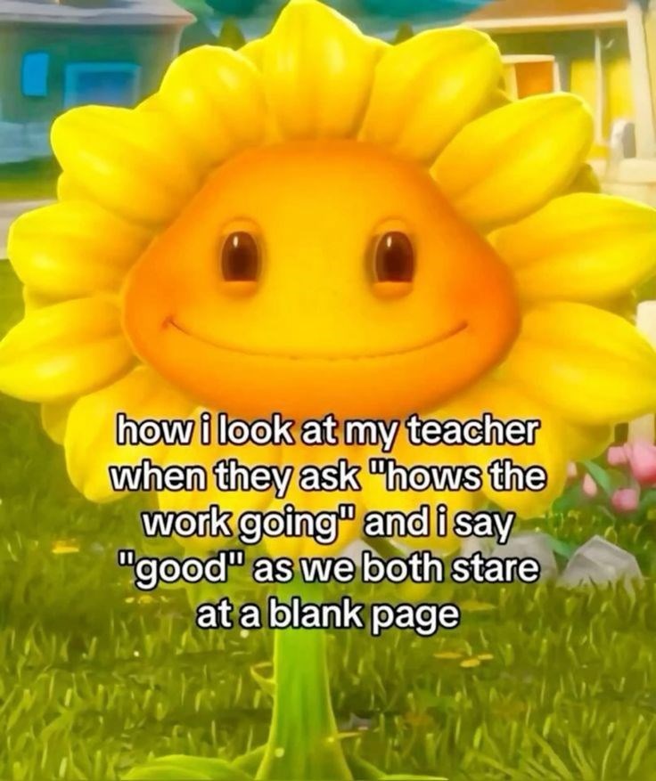 how i look at my teacher when they ask "hows the work going" and i say "good" as we both stare at a blank page