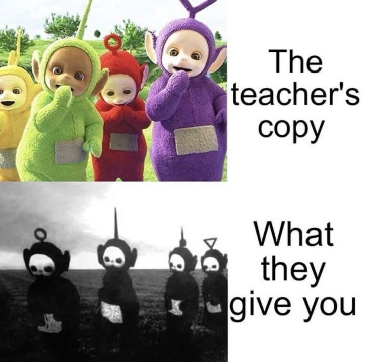 Ο The teacher's copy What they give you