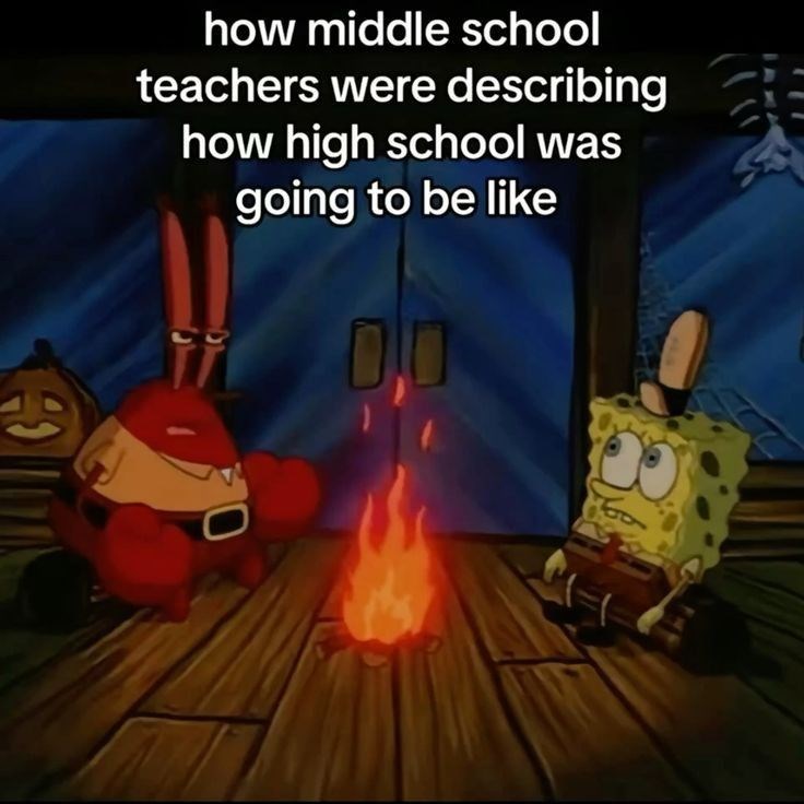 how middle school teachers were describing how high school was going to be like