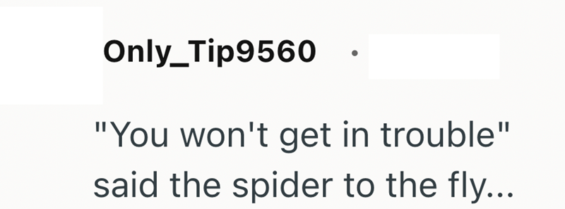 Only Tip9560 "You won't get in trouble" said the spider to the fly...