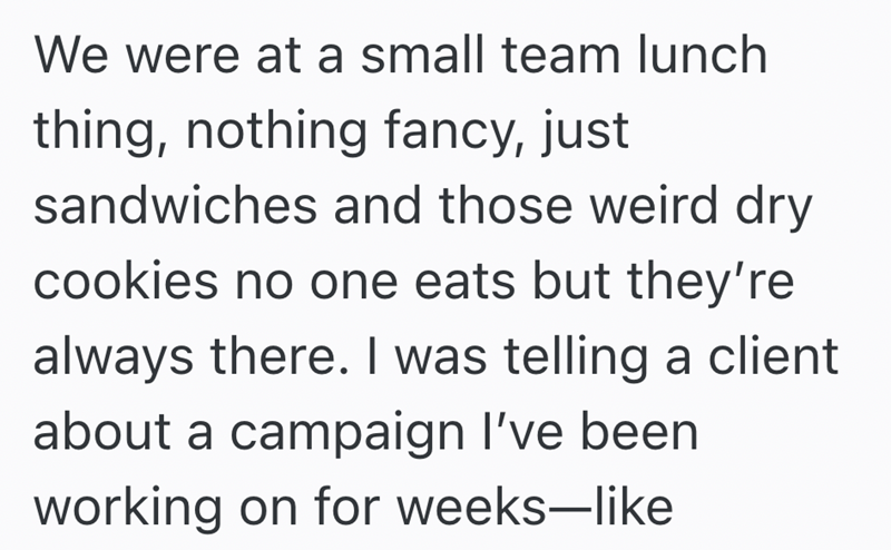 We were at a small team lunch thing, nothing fancy, just sandwiches and those weird dry cookies no one eats but they're always there. I was telling a client about a campaign I've been working on for weeks-like