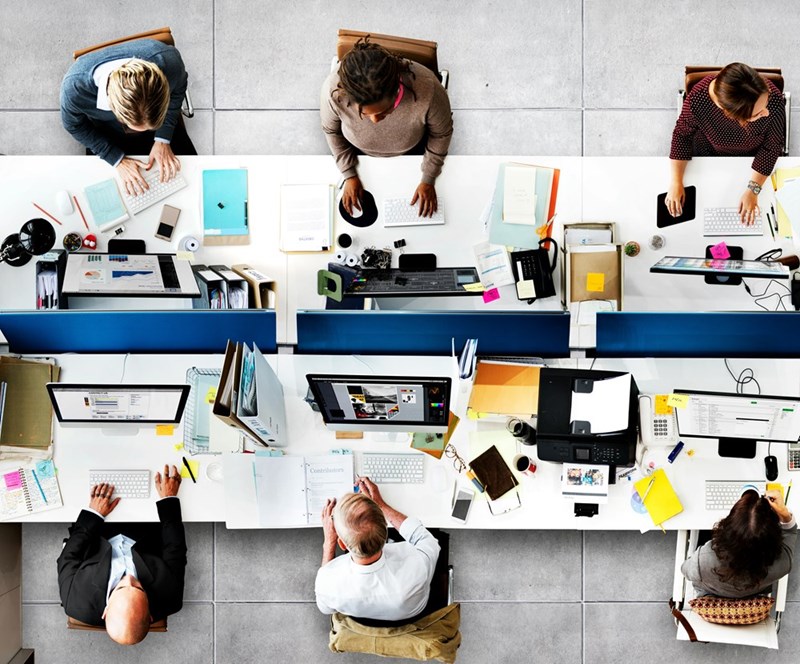 6 employees sit at their desks, which are all decorated with their own personal belongings.