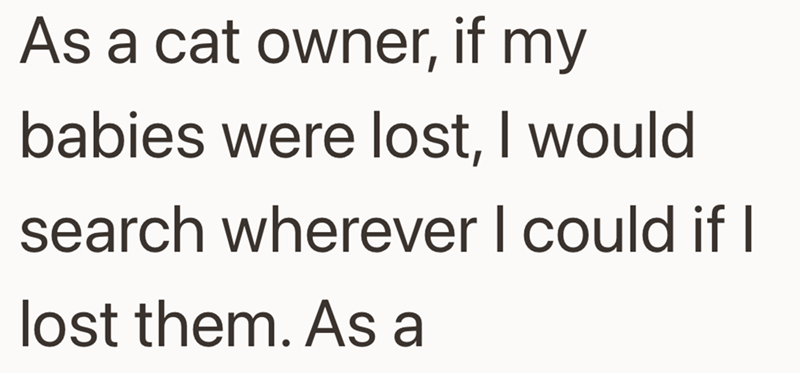 As a cat owner, if my babies were lost, I would search wherever I could if I lost them. As a