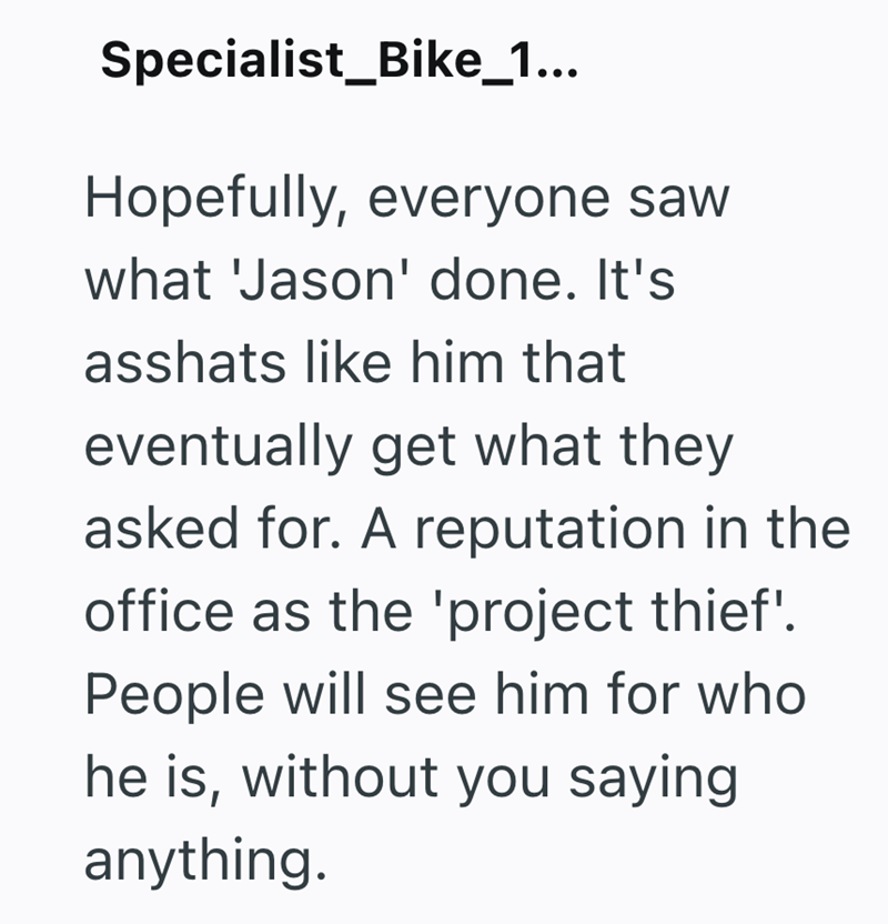 Specialist_Bike_1... Hopefully, everyone saw what 'Jason' done. It's asshats like him that eventually get what they asked for. A reputation in the office as the 'project thief'. People will see him for who he is, without you saying anything.
