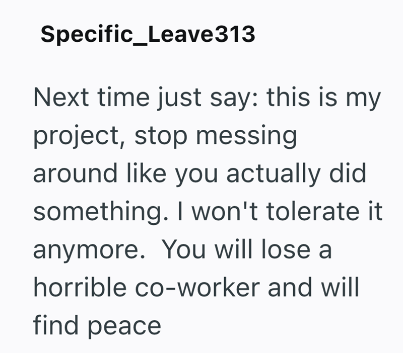 Specific_Leave313 Next time just say: this is my project, stop messing around like you actually did something. I won't tolerate it anymore. You will lose a horrible co-worker and will find peace