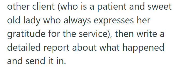 other client (who is a patient and sweet old lady who always expresses her gratitude for the service), then write a detailed report about what happened and send it in.