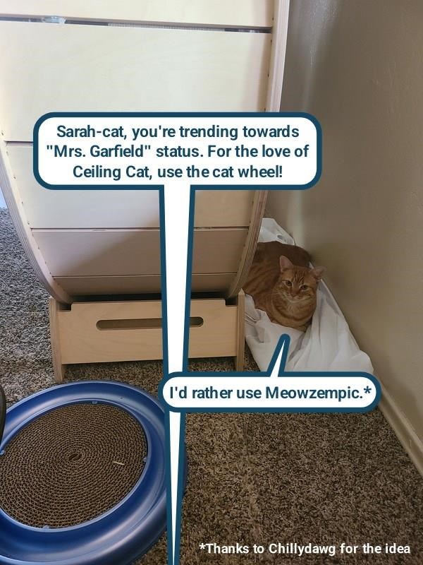 Cheezburger Image 10625029632