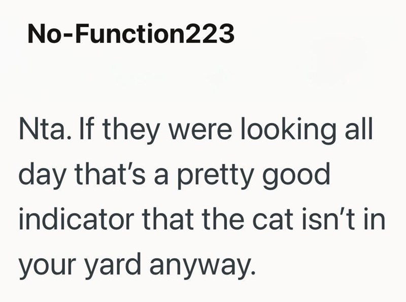 No-Function223 Nta. If they were looking all day that's a pretty good indicator that the cat isn't in your yard anyway.