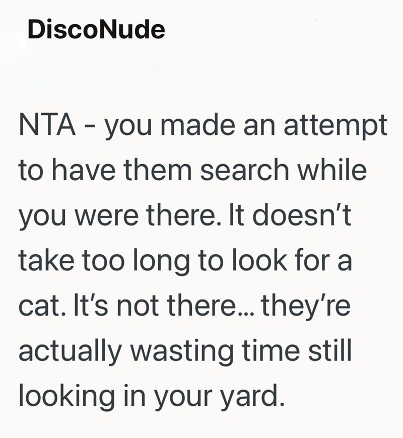 DiscoNude NTA - you made an attempt to have them search while you were there. It doesn't take too long to look for a cat. It's not there... they're actually wasting time still looking in your yard.