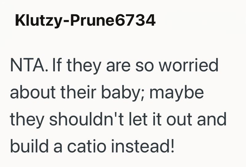 Klutzy-Prune6734 NTA. If they are so worried about their baby; maybe they shouldn't let it out and build a catio instead!
