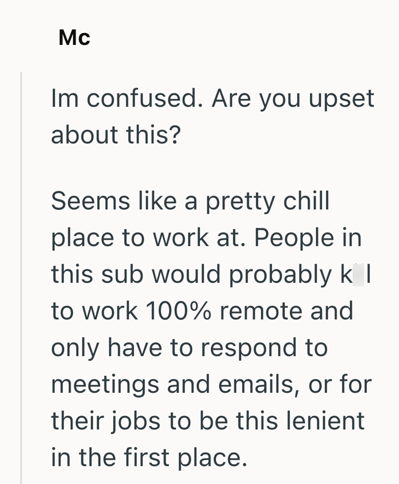 Mc Im confused. Are you upset about this? Seems like a pretty chill place to work at. People in this sub would probably k I to work 100% remote and only have to respond to meetings and emails, or for their jobs to be this lenient in the first place.