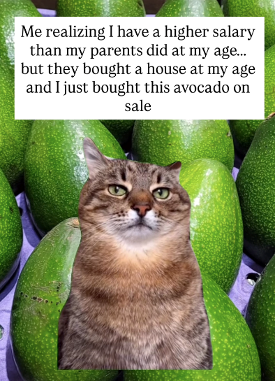 Me realizing I have a higher salary than my parents did at my age... but they bought a house at my age and I just bought this avocado on sale