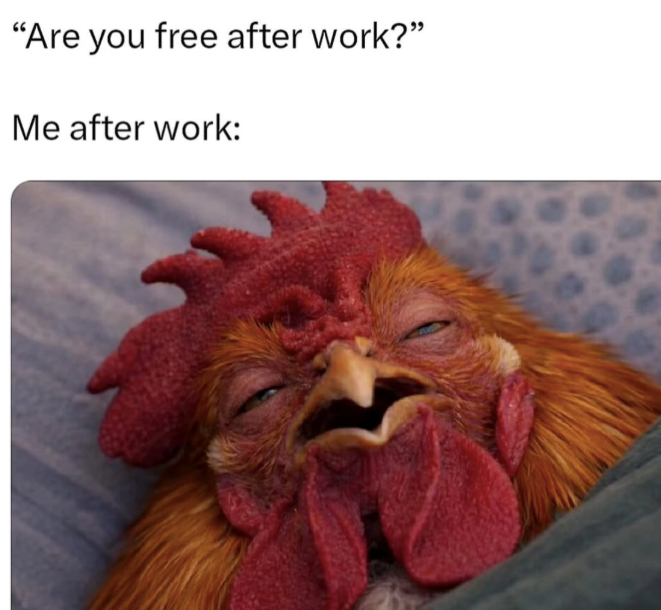 "Are you free after work?" Me after work: