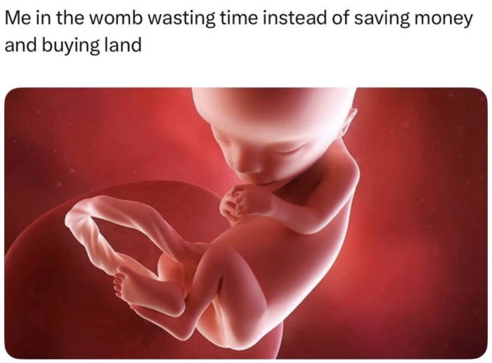 Me in the womb wasting time instead of saving money and buying land