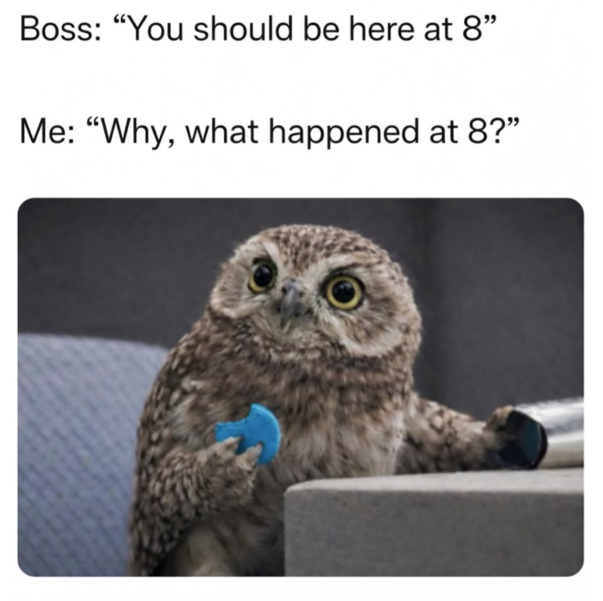Boss: "You should be here at 8" Me: "Why, what happened at 8?"