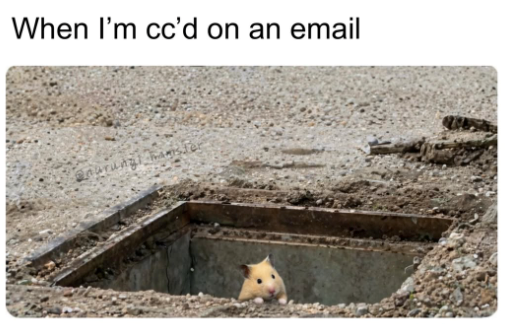 When I'm cc'd on an email anarungi