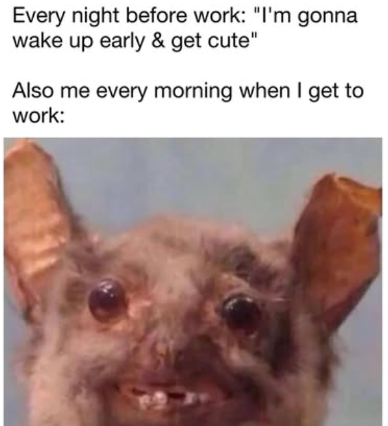 Every night before work: "I'm gonna wake up early & get cute" Also me every morning when I get to work: