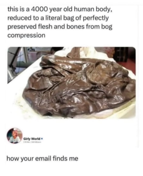 this is a 4000 year old human body, reduced to a literal bag of perfectly preserved flesh and bones from bog compression Girly World how your email finds me