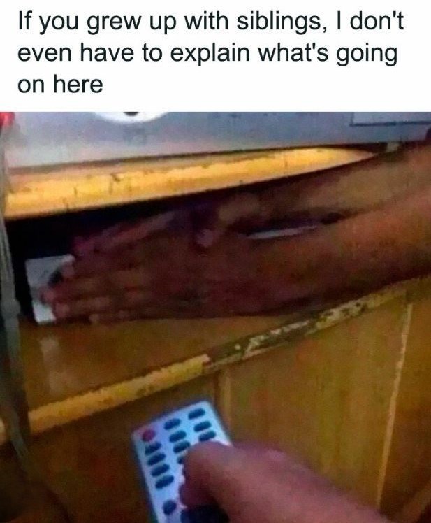 If you grew up with siblings, I don't even have to explain what's going on here