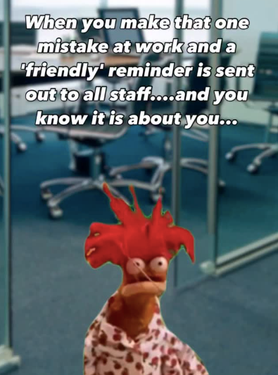 When you make that one mistake at work and a 'friendly' reminder is sent out to all staff....and you know it is about you...
